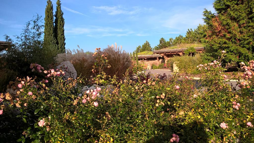 Les Chalets De Maramour Chazey-sur-Ain Exterior foto